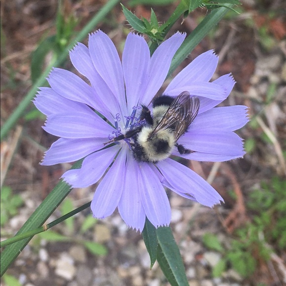 Meet your Posher, Katrin - Picture 11 of 16